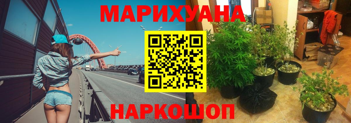 Конопля Bruce Banner Мирный